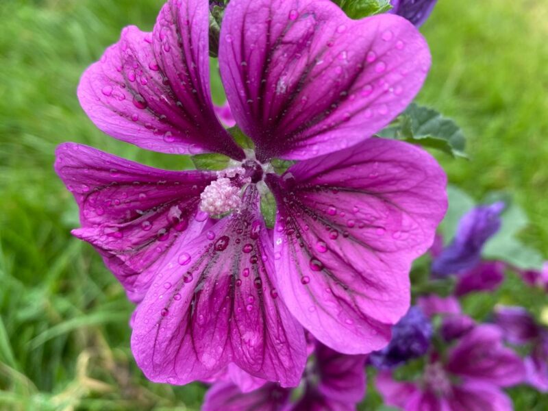 Persönliches Coaching